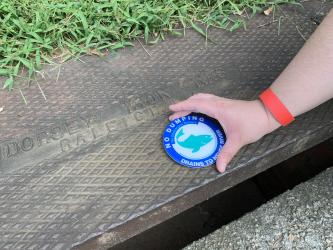 Storm Drain Marking Pop Up