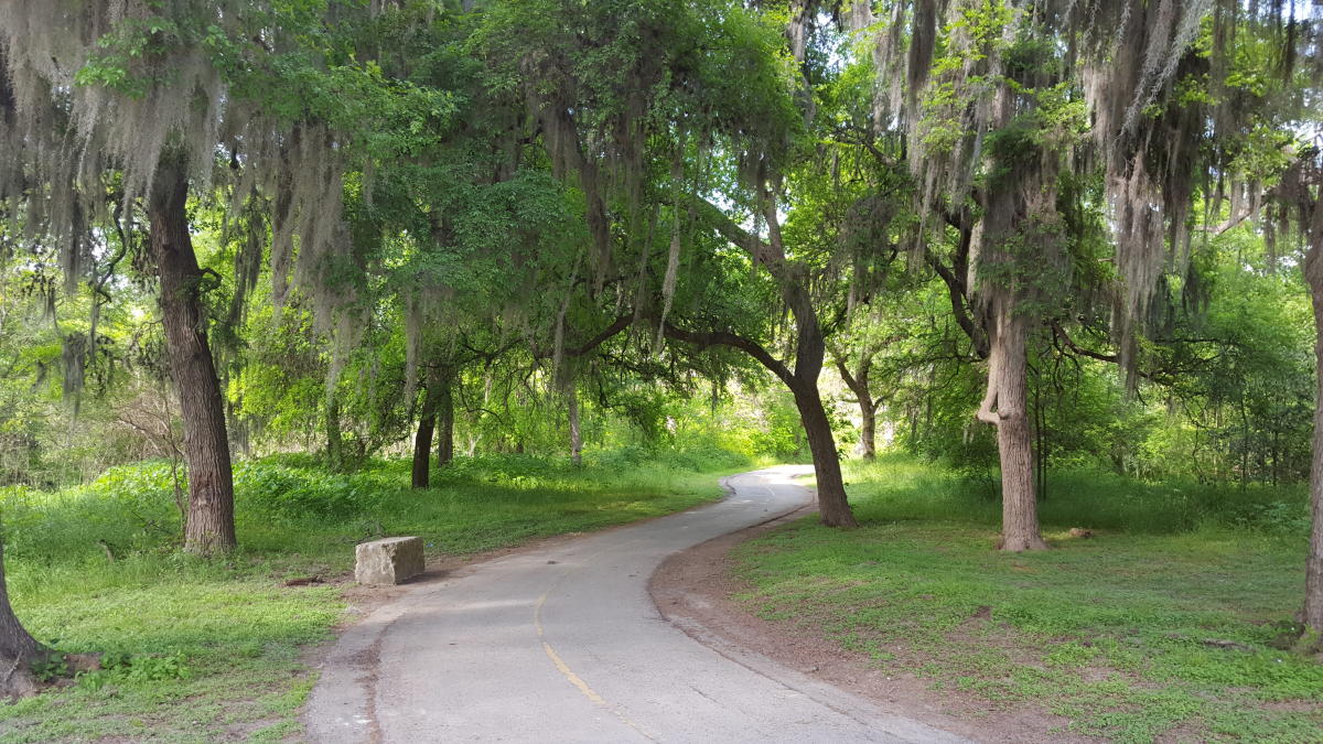 Featured image for Khảo sát Đường mòn Greenway